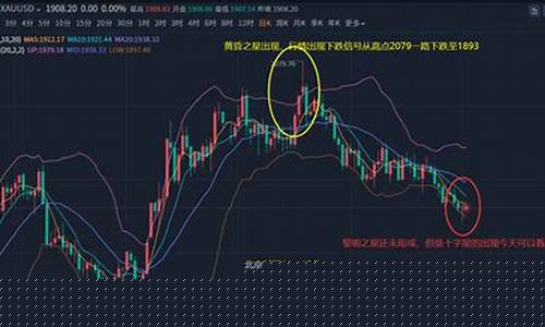 今天金价会反弹吗_今天金价会反弹吗最新消息
