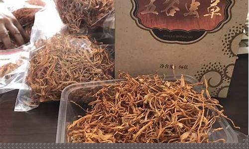 冬虫夏草金进价多少_冬虫夏草金价神话破灭