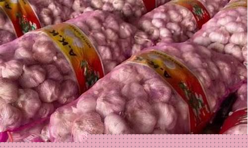 河南大蒜金价行情最新_河南大蒜金价行情