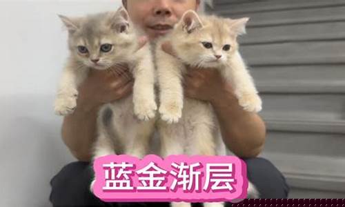 蓝金价位区别大吗_蓝金价位区别大吗值得买吗