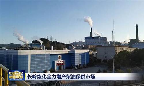 长岭石化油价多少钱一升_长岭石化油价多少