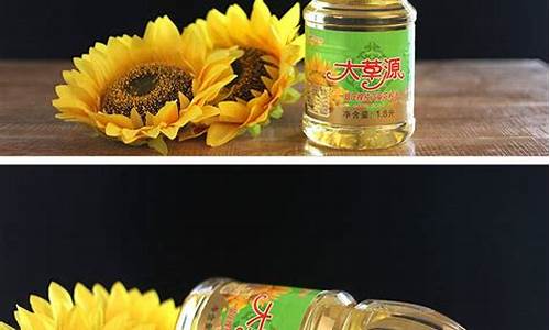 天津港有几家进口油葵公司_天津港口葵花籽油价格