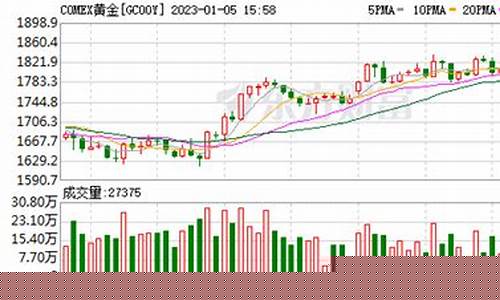 理想数据限制金价涨幅_理想 涨价