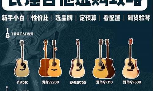 白金价位吉他推荐_纯金吉他