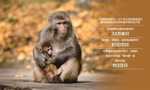 猴场油价格是多少_猴油票多少钱