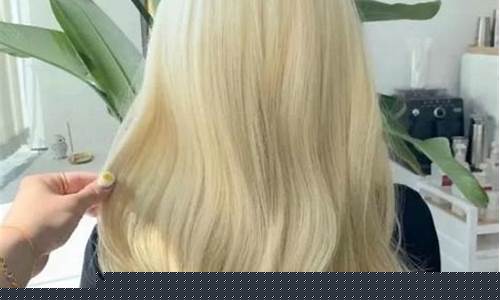 染发白金价格多少_染发白金是什么颜色