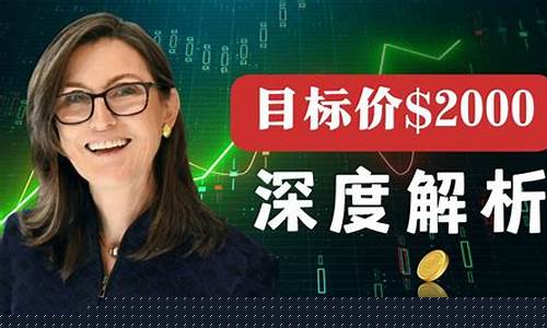方舟投资基金_方舟基金价格多少