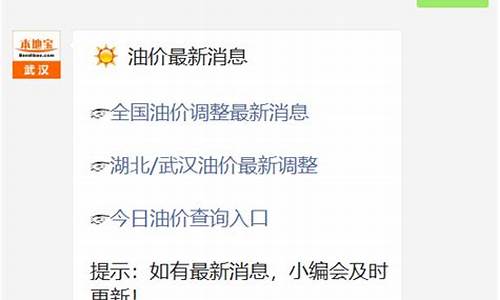 湖北省武汉市今日油价_武汉地区油价查询