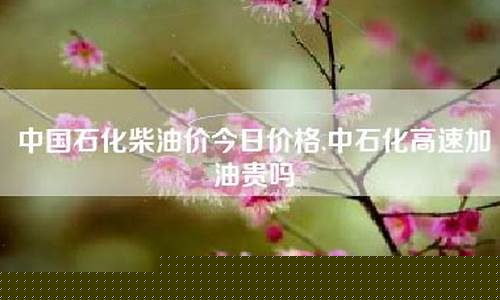 德州今日柴油价格_德州今天中石化柴油价格