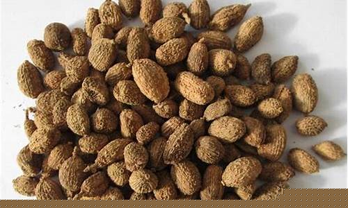 天津砂仁油价格行情走势分析_天津砂仁油价格行情走势