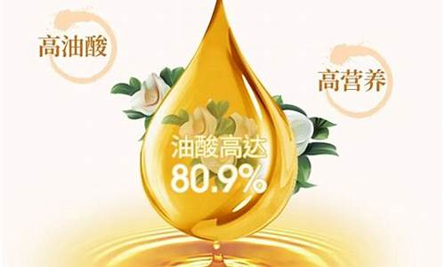 贵太太玉米油怎么样_贵太太食用油价格表