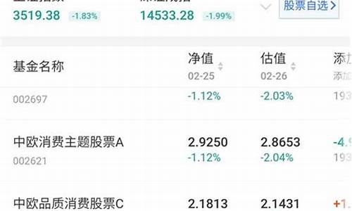 发行基金价格怎么定义_发行基金价格怎么定义出来