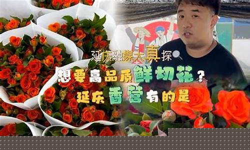 延庆五金建材市场_延庆区品质五金价格大全