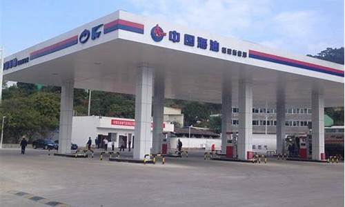 东营中石化92汽油价格_东营石化今日油价