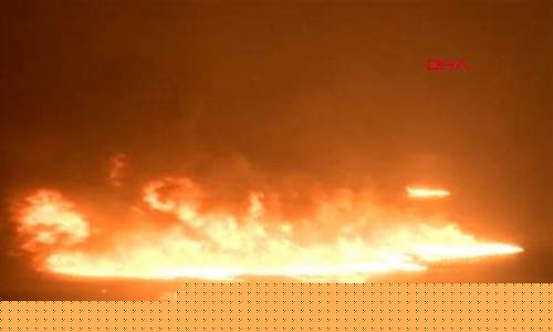 土耳其爆炸最新新闻_土耳其油管爆炸油价