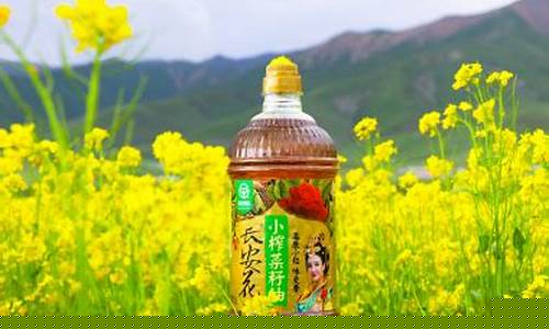 长安油菜籽油价格_长安花高原小粒菜籽油产地